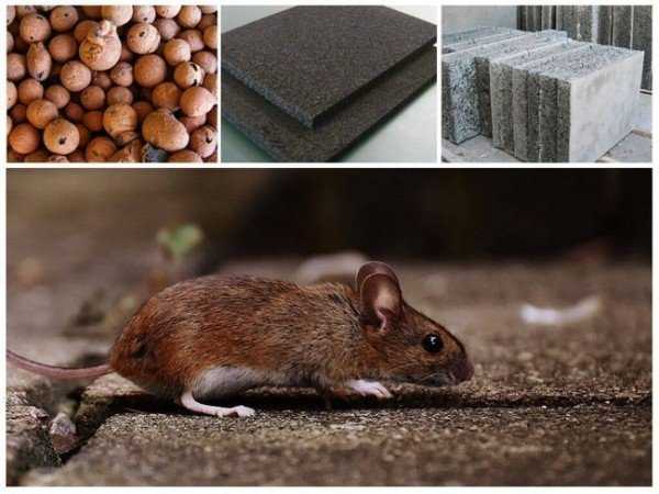 Утеплитель и мыши: честный обзор материалов, устойчивых к грызунам