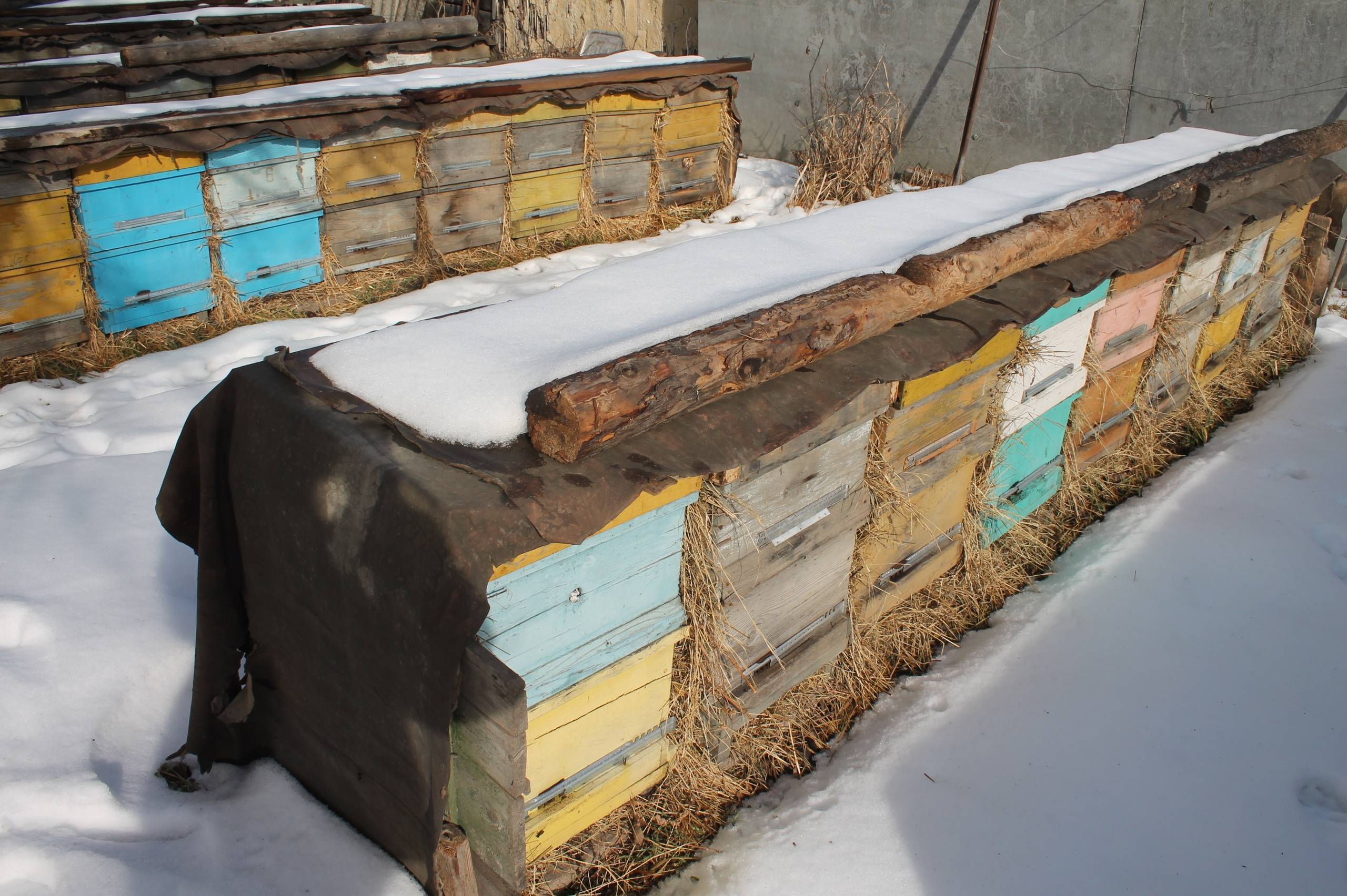 Зимовка пчел: подготовка пасеки, аспекты утепление ульев, способы и особенности