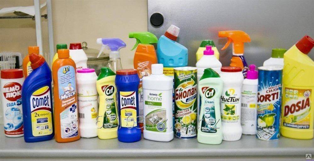 Какие чистящие средства должны быть в каждом доме и квартире, отзывы