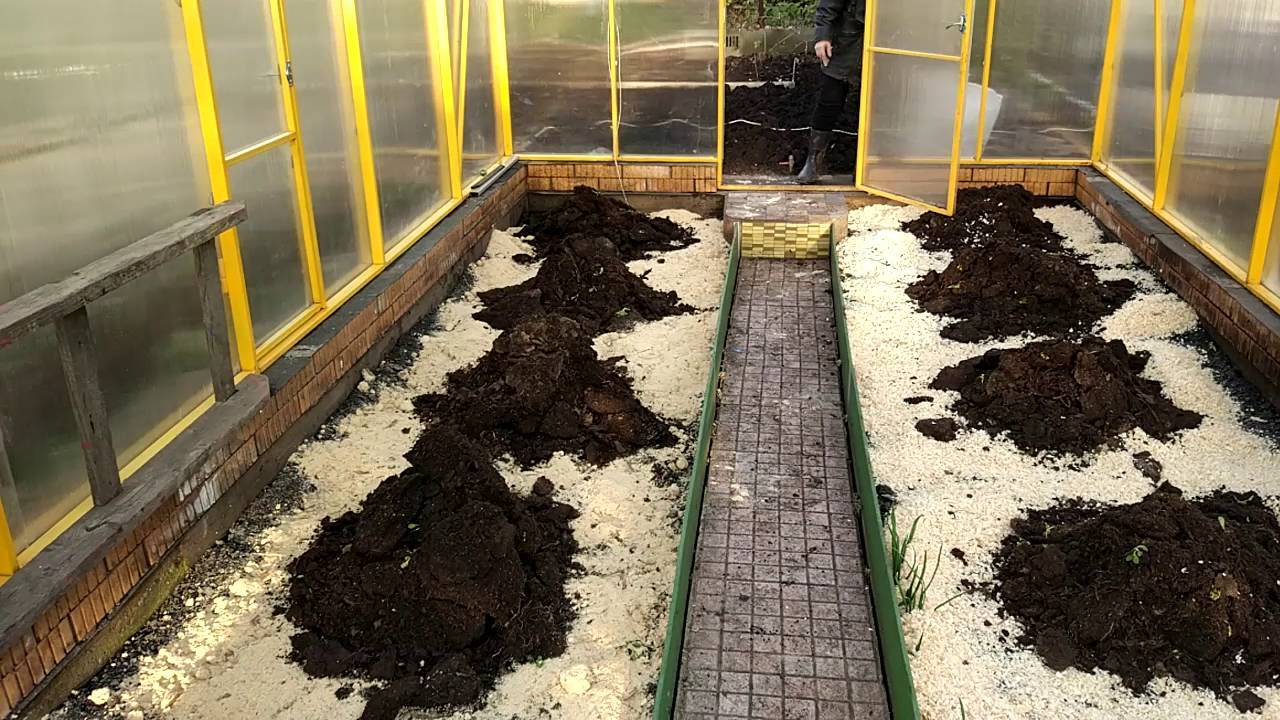 Подготовка грунта для огурцов в теплице весной: какую почву любят, чем и как обработать землю