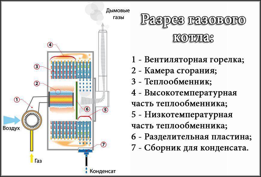 Двухконтурный газовый котел: принцип работы, особенности