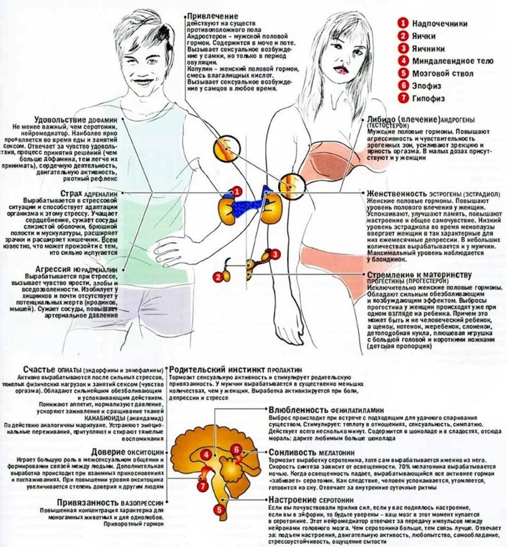 симптомы оргазма у мужчины фото 3