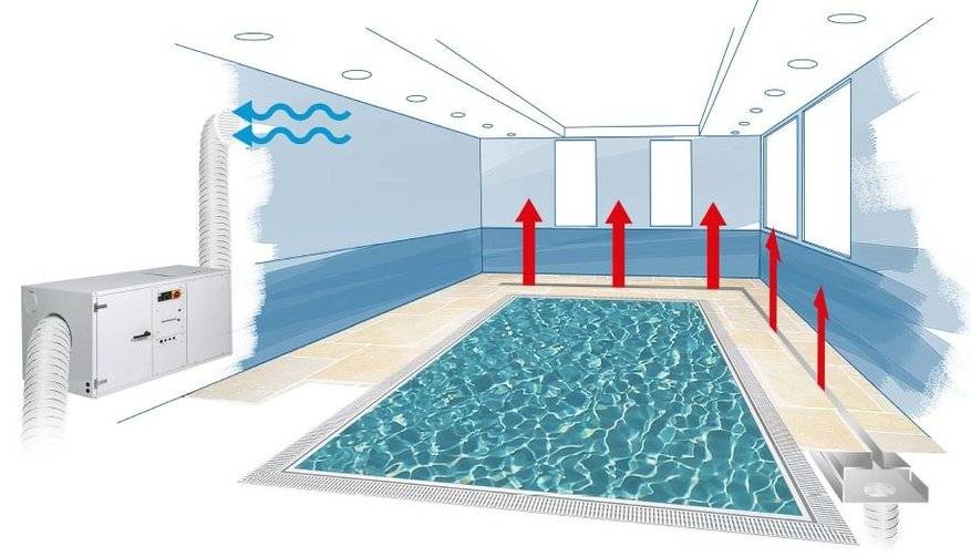 Вентиляция бассейна: назначение, инструкция по проектированию, элементы и нюансы