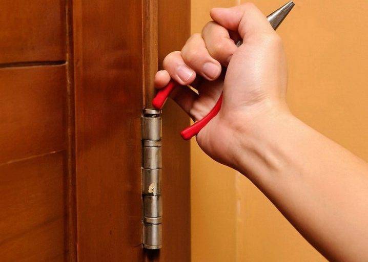 Сделай сам: как устранить скрип двери