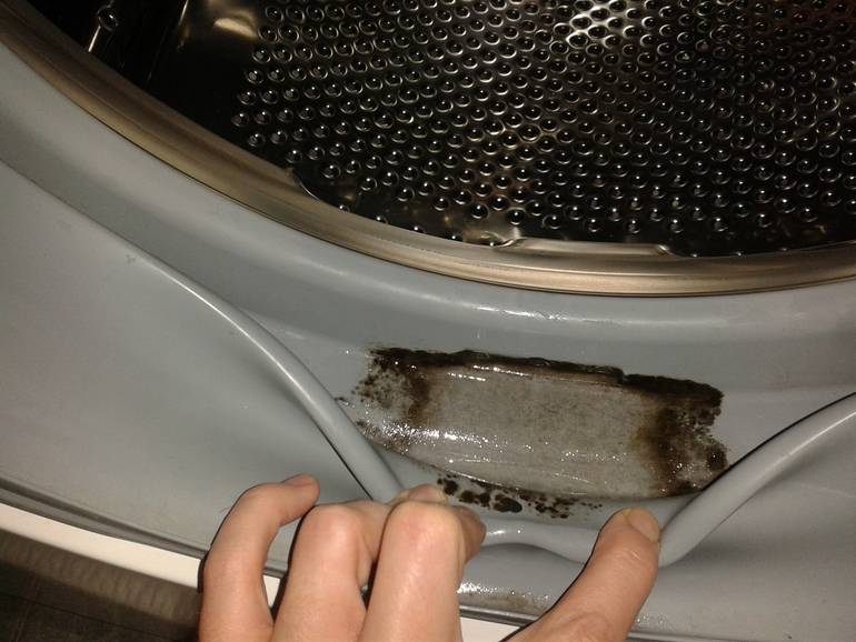 Как избавиться от плесени в стиральной машине простым и быстрым способом