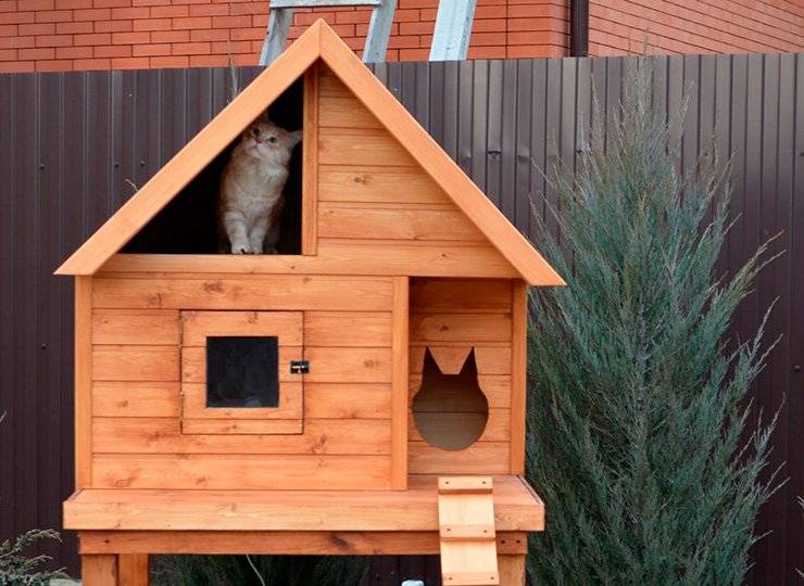Уличные теплые будки для кошек на зиму