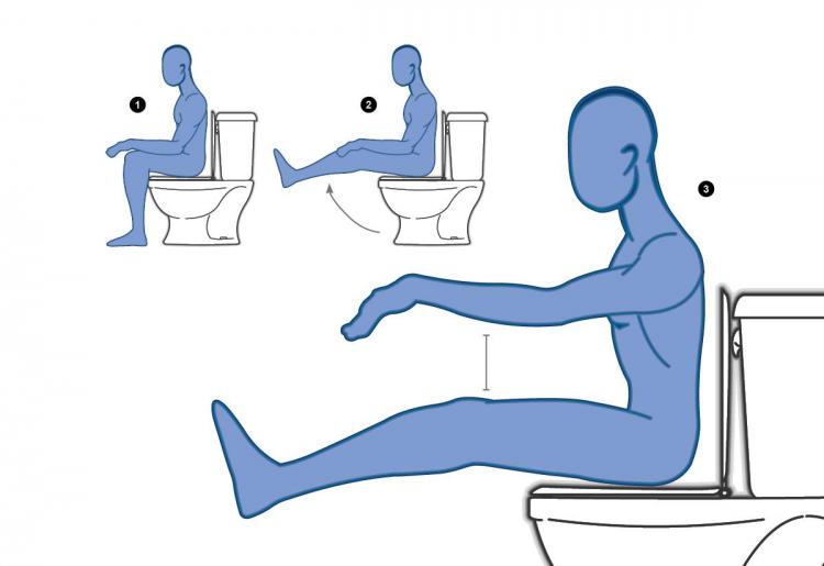 12 ошибок, которые вы совершаете в туалете ежедневно :: polismed.com