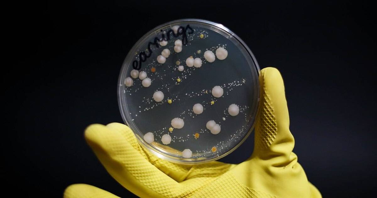 10 кишащих бактериями вещей, которые вы постоянно носите с собой