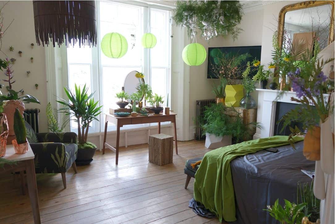 Рейтинг лучших комнатных растений для спальни - дарим позитив