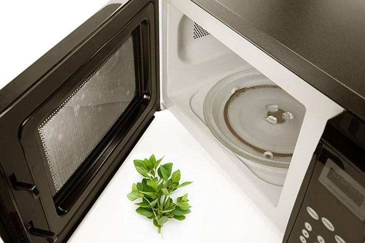 Микроволновая печь без поворотного стола - что стоит знать?