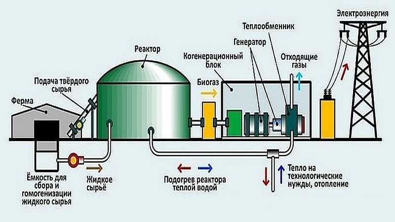 Биогаз из навоза своими руками: как получить биогаз в домашних условиях