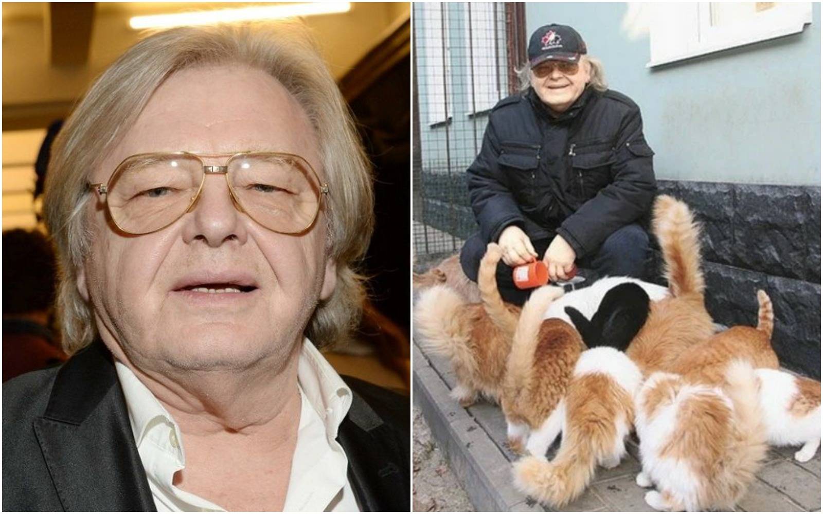 Где живёт Юрий Антонов со своими 40 кошками и собаками