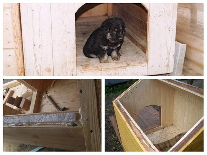 Утепленная будка для собаки (снаружи и изнутри): как сделать своими руками, чем можно, размеры для больших пород, с тамбуром и подогревом на зиму