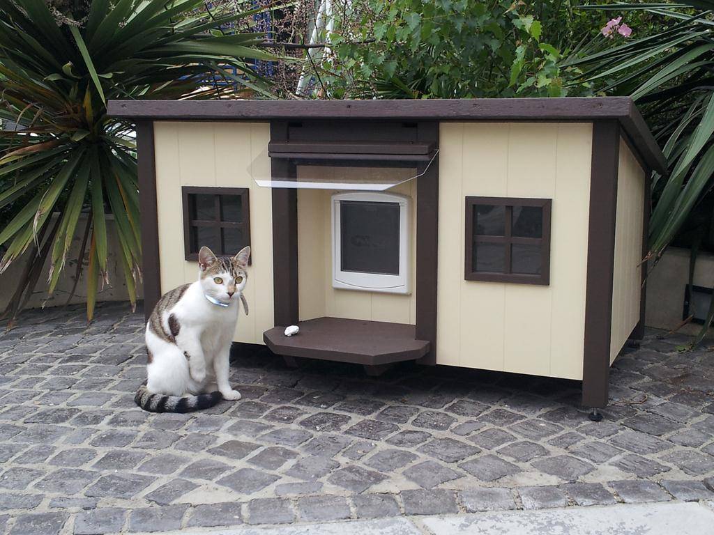 Уличный домик для кошки — как сделать зимнюю кошачью будку своими руками (идеи и инструкции с фото)