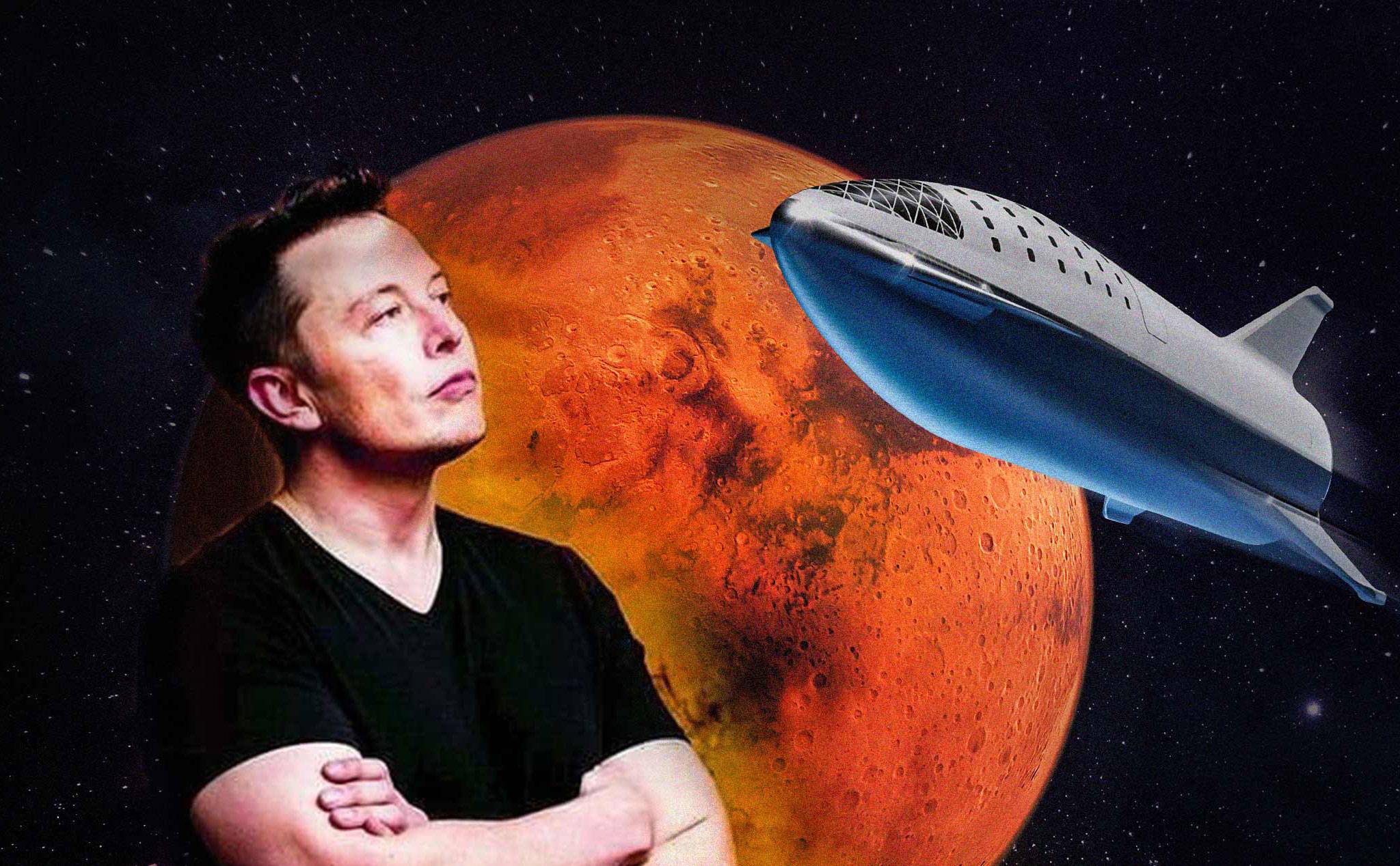 Fat Elon Musk