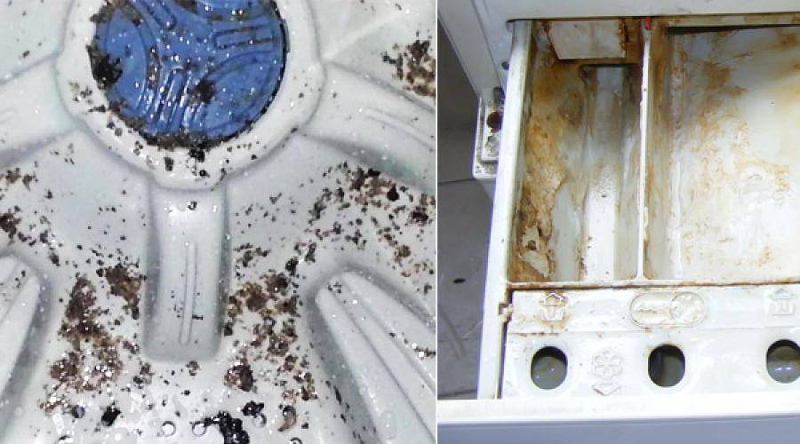 Плесень в стиральной машине: как очистить и предотвратить появление