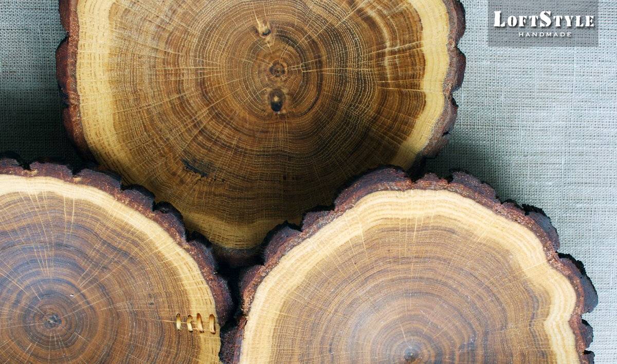 Ценные породы древесины в рф, тропические: названия, описания