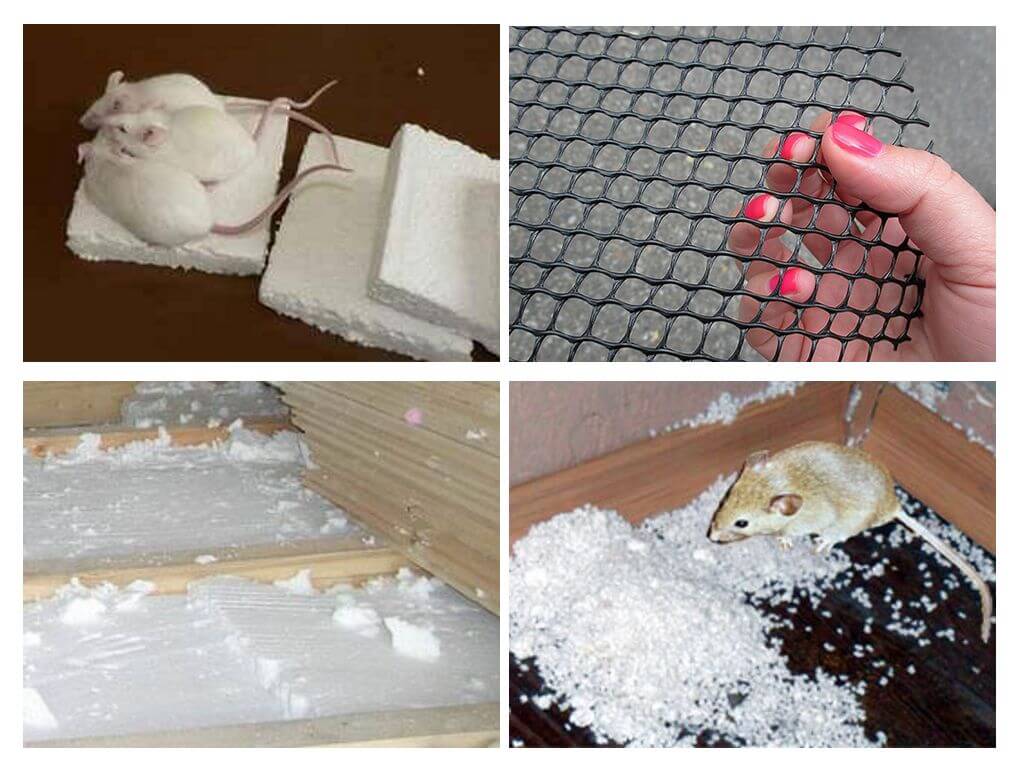 Какой утеплитель не грызут крысы, мыши и другие вредители: обзор материалов для защиты от грызунов