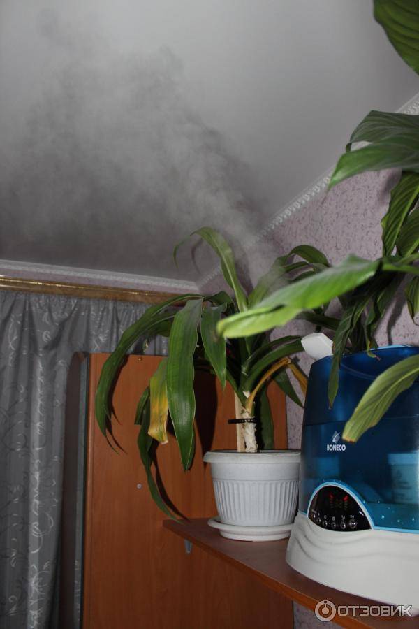 Как увлажнить воздух в комнате без увлажнителя: 6 эффективных способов