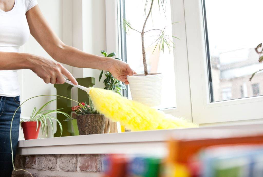 Сначала пылесосить или вытирать пыль: советы домохозяек, что делать при уборке в первую и вторую очередь для обеспечения качественного результата