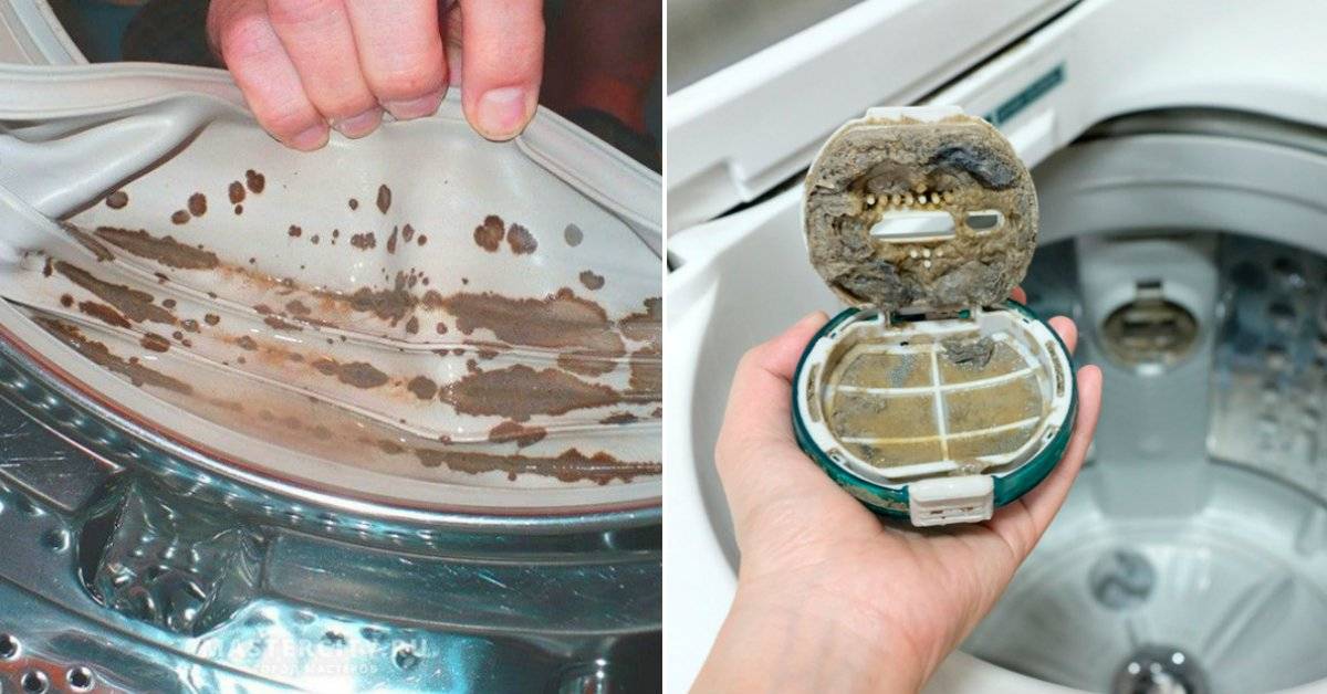 Как избавиться от плесени в стиральной машине: средство для очистки стиральной машины от грибка, как убрать и чем отмыть