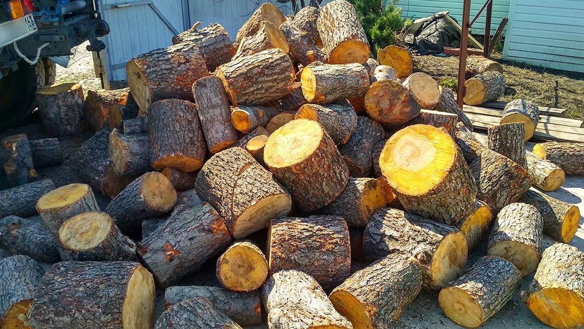 Теплотворная способность дров: сравнительная таблица разных пород