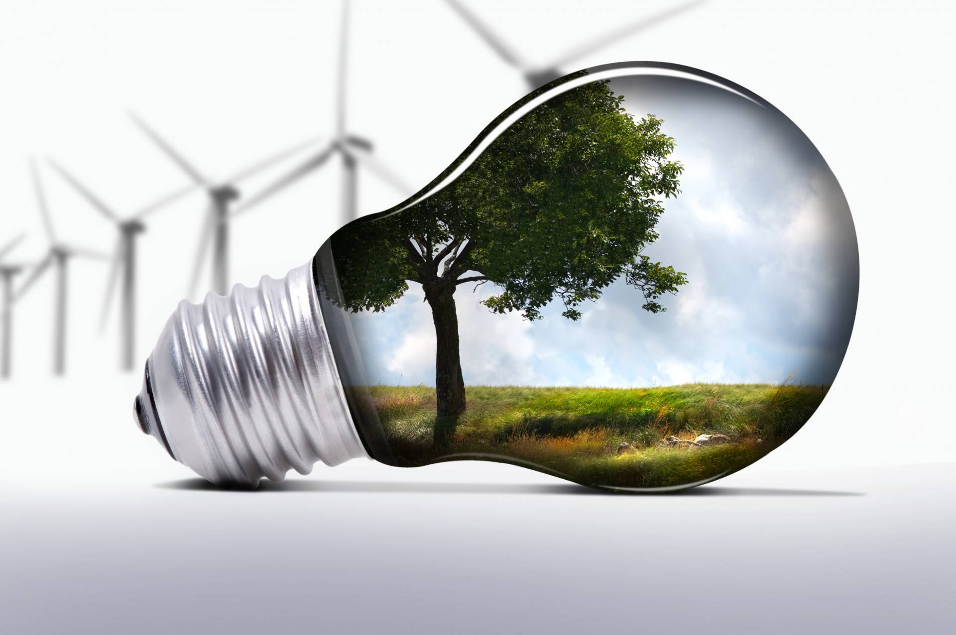 «зеленый бизнес»: 20 идей как заработать на экологии