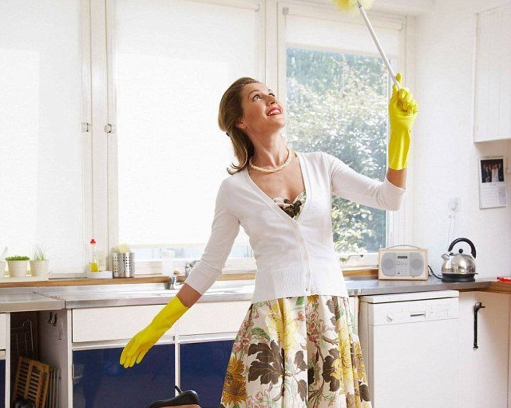 Почему идеальная чистота в доме может приводить к размножению опасных микроорганизмов