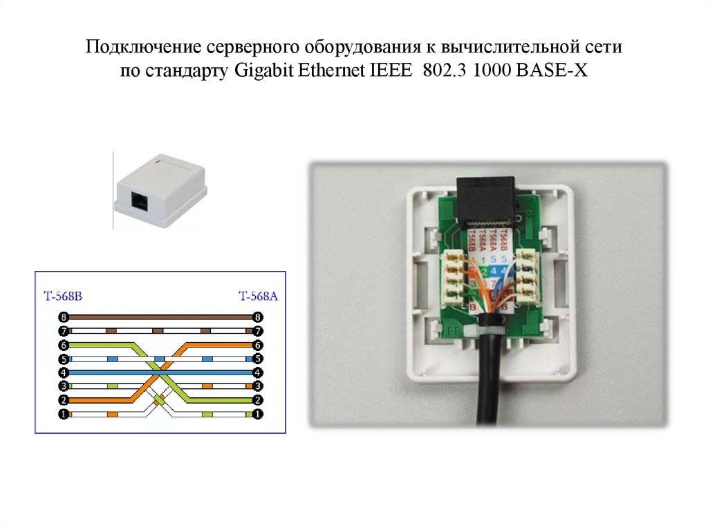 Схема подключения телефонной розетки - tokzamer.ru